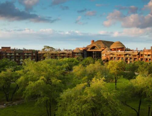 Animal Kingdom Villas at Jambo House in Walt Disney World