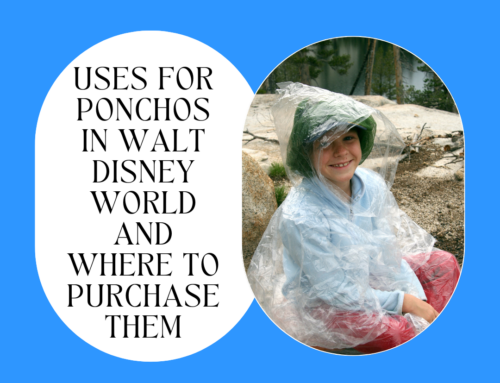 Uses for Ponchos in Walt Disney World and Where to Purchase Them